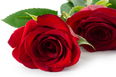 Similar image 2025303