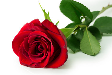 Similar image 2025304