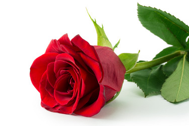 Similar image 2025309