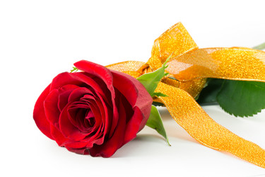 Similar image 2025310