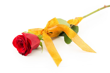 Similar image 2025313