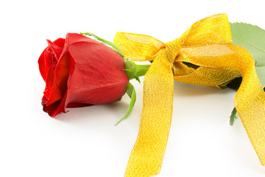 Similar image 2025316