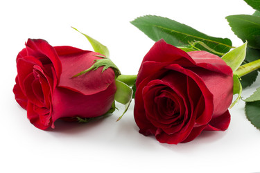 Similar image 2025320