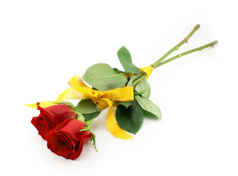 Similar image 2025323