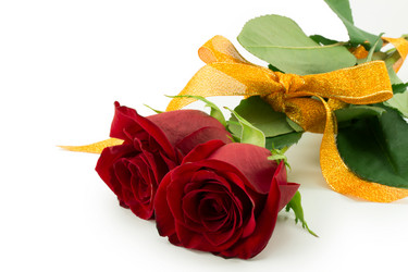 Similar image 2025324