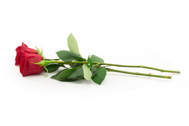 Similar image 2025334