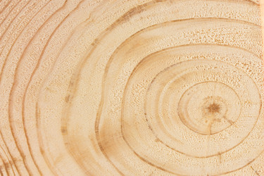 Similar image 2025376