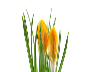 Similar image 2025380