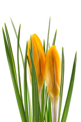 Similar image 2025382