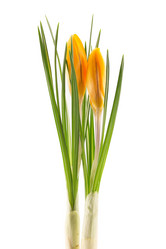 Similar image 2025383