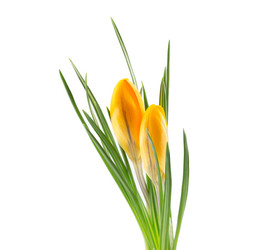 Similar image 2025386