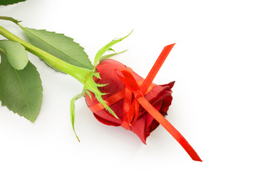 Similar image 2025388