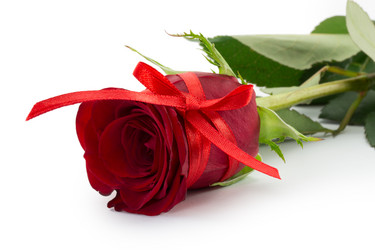 Similar image 2025400