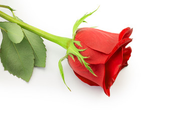 Similar image 2025404