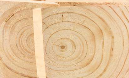 Similar image 2025460