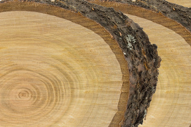 Similar image 2025475