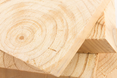 Similar image 2025479