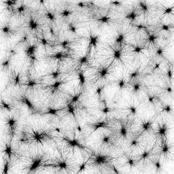 Similar image 2025970