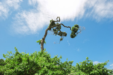 Similar image 2027539