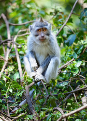 Similar image 2027819