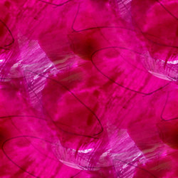 Similar image 2027857