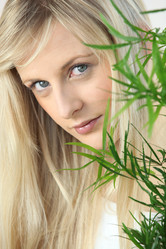 Similar image 2028091