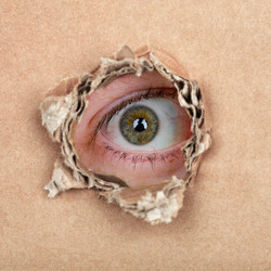 Similar image 2029884