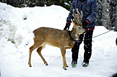 Similar image 2031540