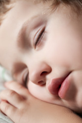 Similar image 2031659