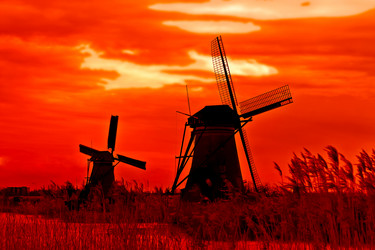 Similar image 2031993