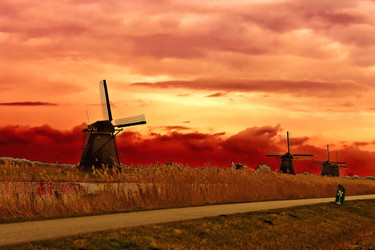 Similar image 2031996