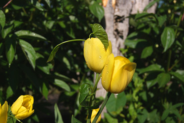 Similar image 2032440