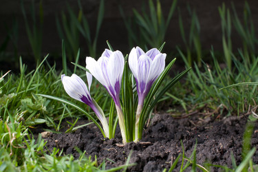 Similar image 2032445