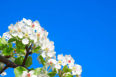 Similar image 2032450