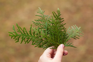 Similar image 2032455