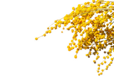 Similar image 2032456