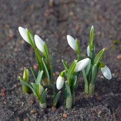 Similar image 2032457