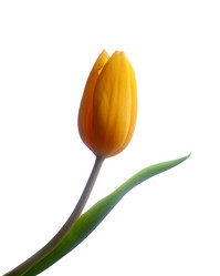 Similar image 2032459