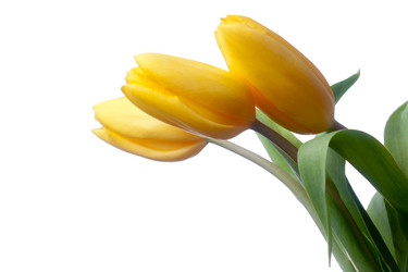 Similar image 2032460