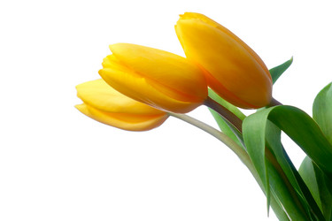 Similar image 2032461