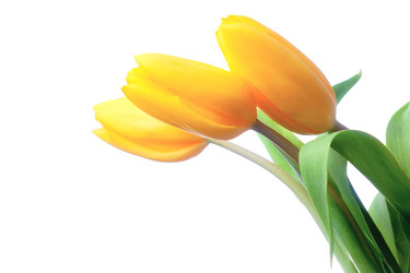 Similar image 2032464