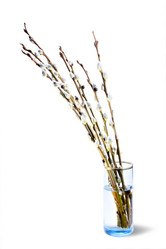 Similar image 2032465