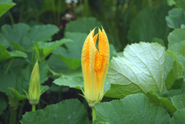 Similar image 2032501