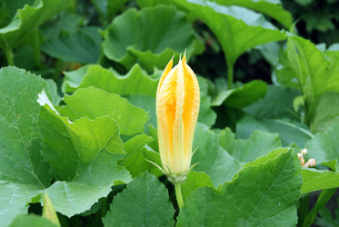 Similar image 2032502