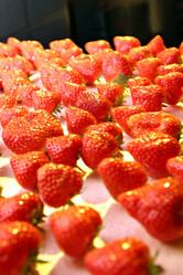 Similar image 2038809