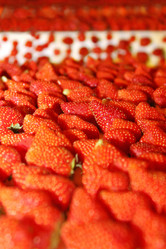 Similar image 2038811