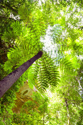 Similar image 2040957