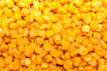 Similar image 2041078