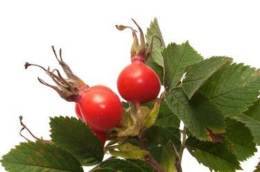 Similar image 2041332