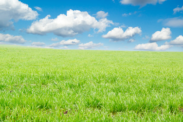 Similar image 2041788